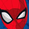 Kit Spider-Man imagem 5